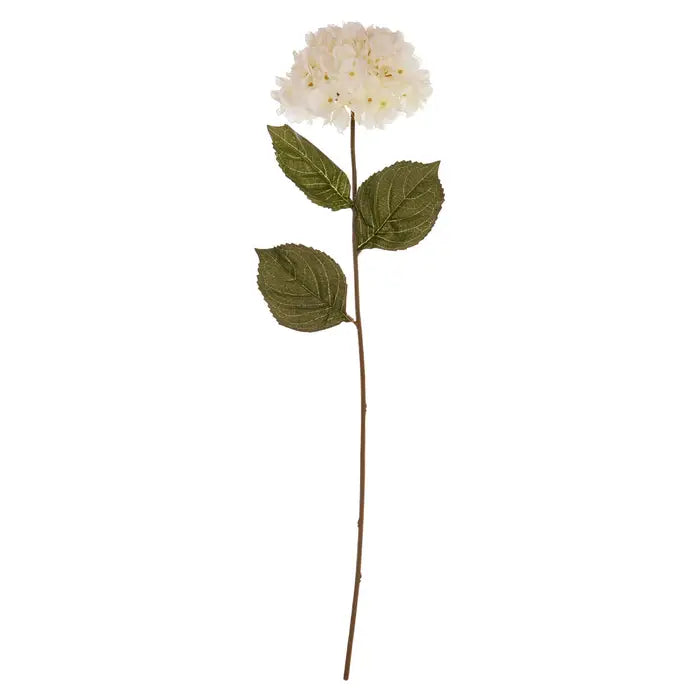 Cream Hydrangea Flower Stem