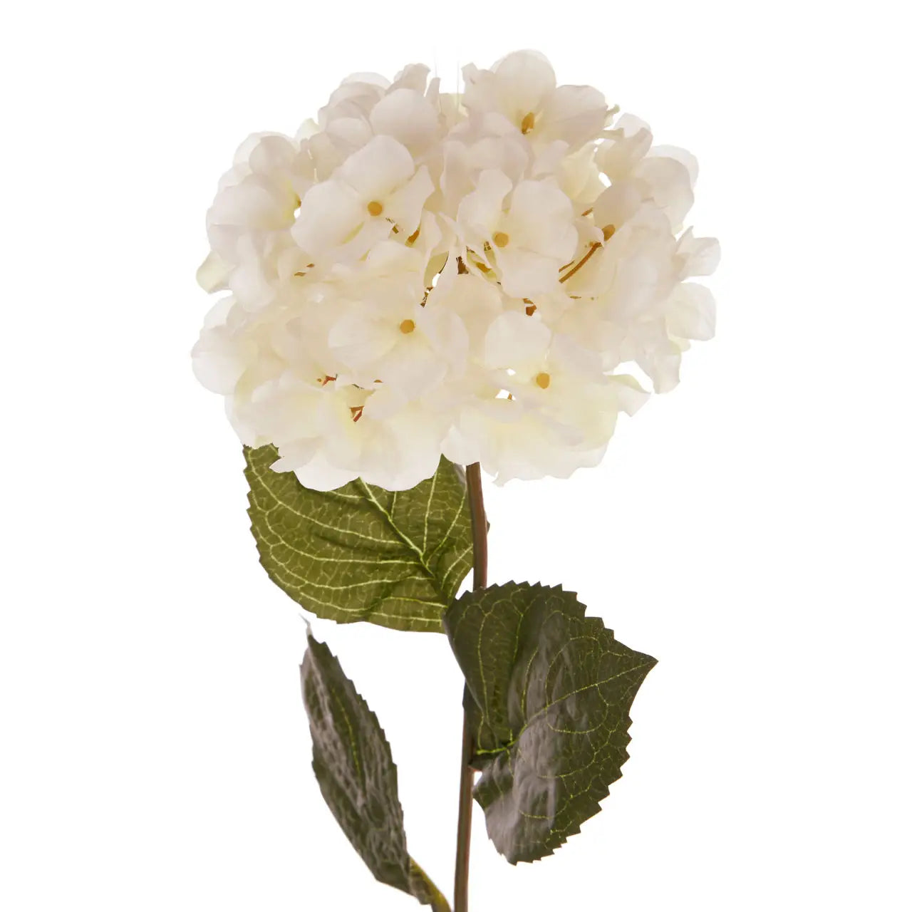 Cream Hydrangea Flower Stem
