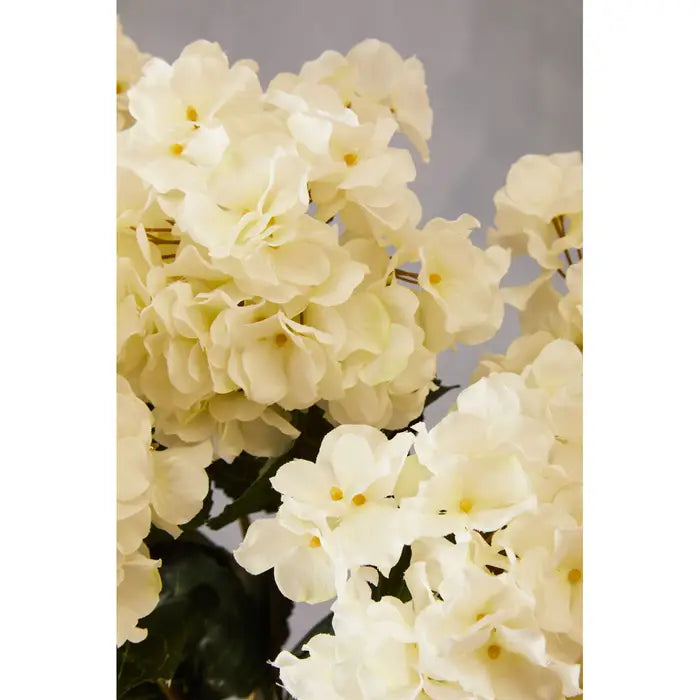 Cream Hydrangea Flower Stem